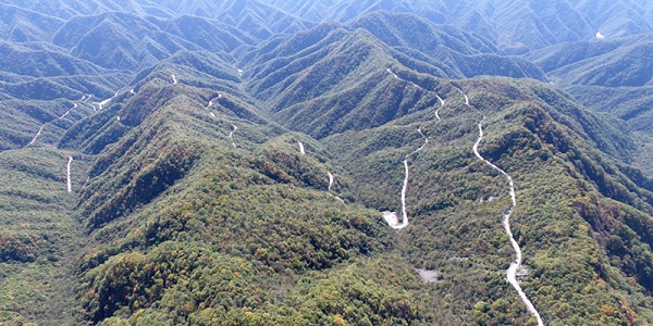 1591599562134264.jpg 国道211线黄花岭段被评定命名为最美旅游路 (1).JPG