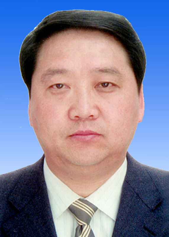 陈璇商洛市常务副市长图片
