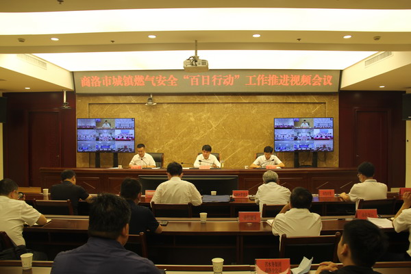 市政府召开燃气安全“百日行动”工作推进视频会议_调整大小.JPG