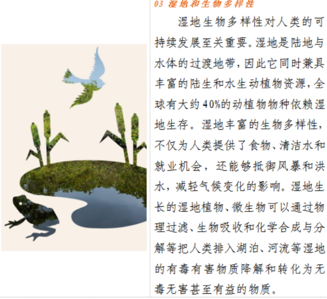 1706603289278952.png 129fa05cbf451fafe02803a85d5f781.png