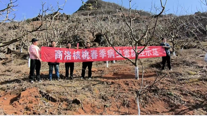 1710380181478089.png 图片1_副本.png