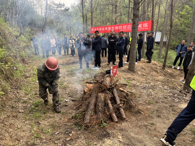 1712916760364805.png 松材线虫病等重大林业有害生物联防联治会议2_副本.png