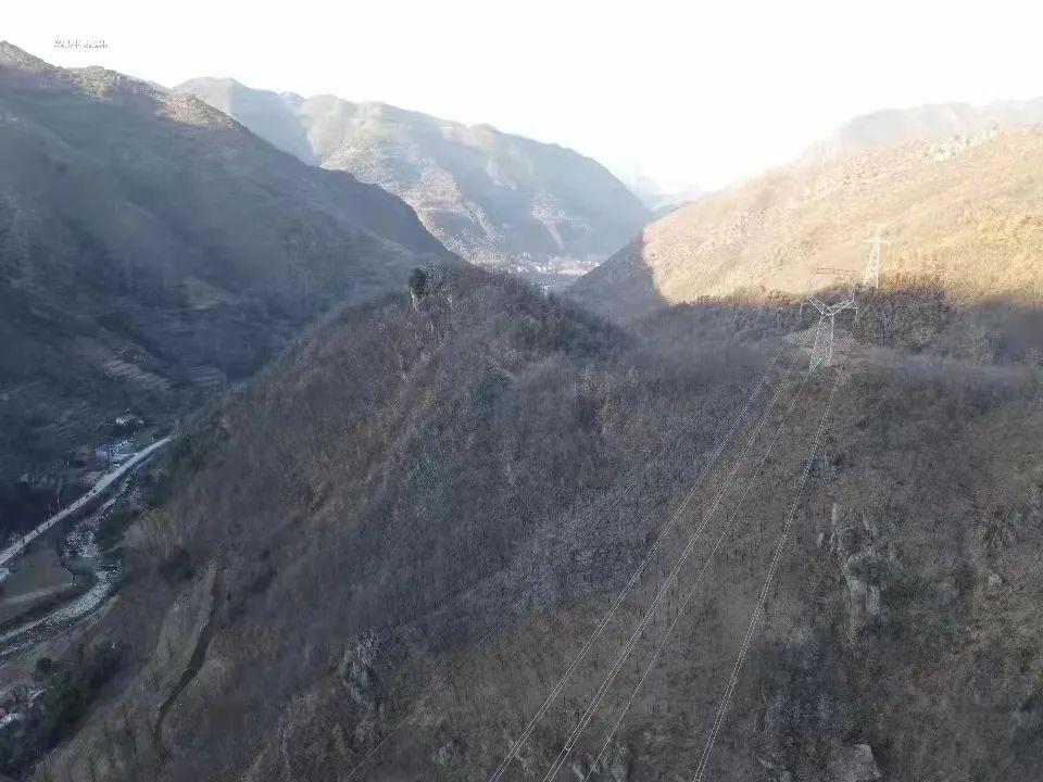 1679962857975026.jpg 640.jpg