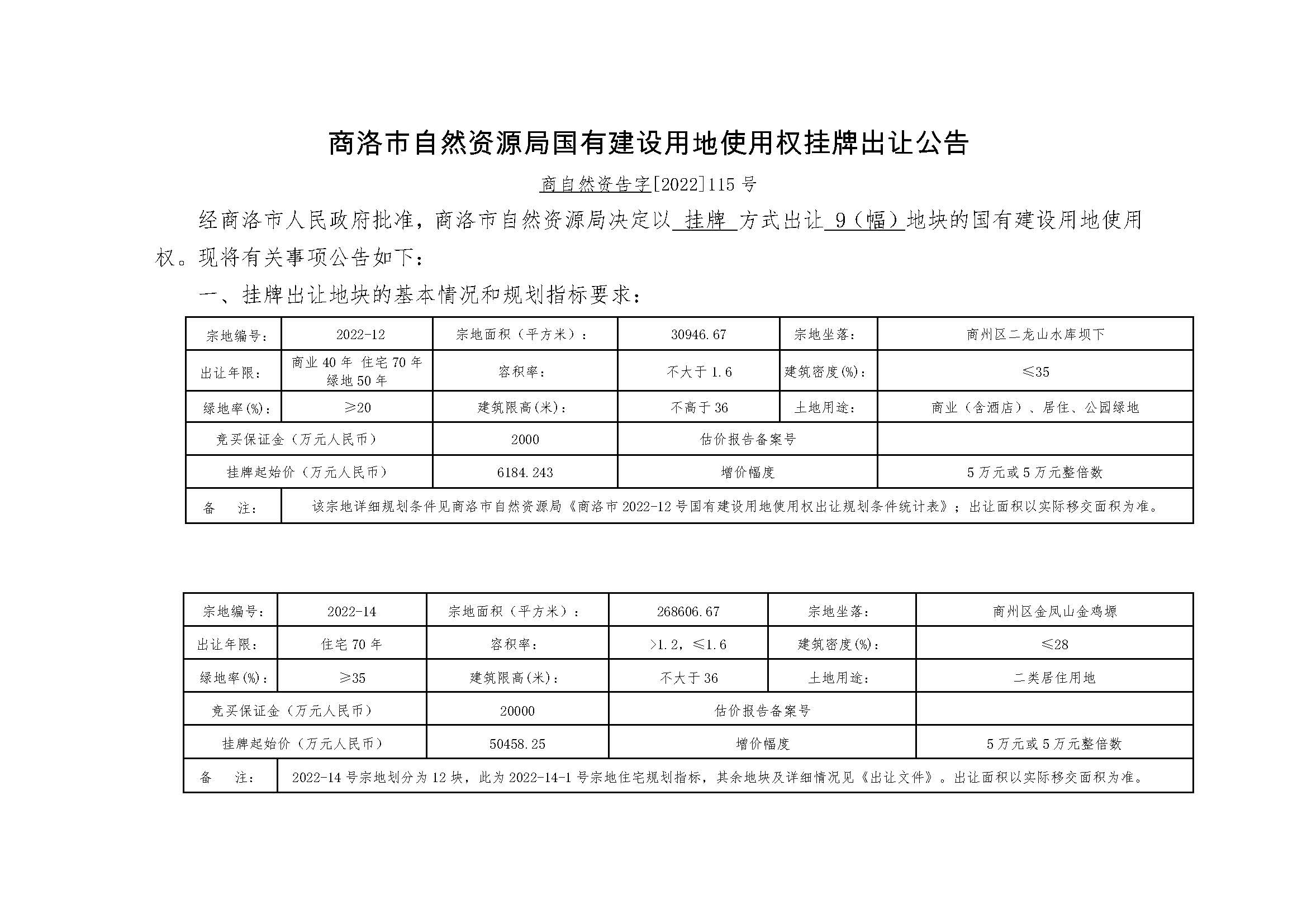 商洛市自然资源局国有建设用地使用权挂牌出让公告_页面_1.jpg